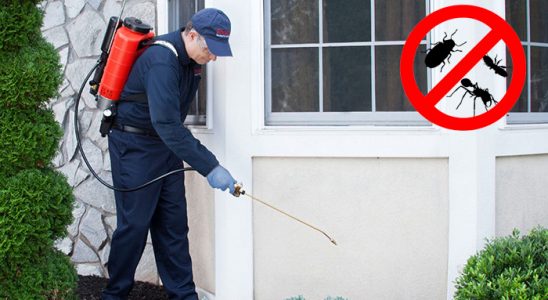 Pursaklar Tahtakurusu İlaçlama böcek ilaçlama ve haşere kontrolü — ilaclama-tr.com